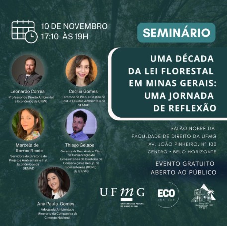 Uma década da lei florestal em Minas Gerais: Uma jornada de reflexão